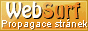 WebSurf